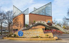 Knights Inn Chattanooga